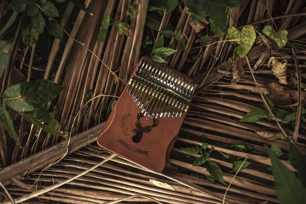 Avez-vous déjà entendu parler du Kalimba ?