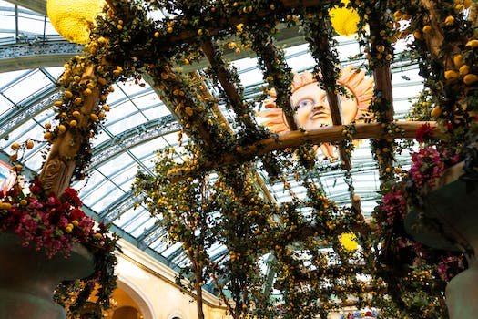 Quels sont les avantages d'une pergola bioclimatique ?